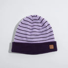 Coal 2024 Harbor Beanie - Neptune Stripe - Switch Skate & Snow