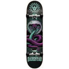 Darkstar Snake Complete Skateboard 8.0 – bottom snake graphic
