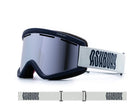 Ashbury 2026 Blackbird Goggle - Warp - Switch Skate & Snow
