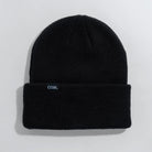 Coal 2026 Wayne Beanie - Black - Switch Skate & Snow