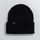 Coal 2027 Wayne Beanie - Black - Switch Skate & Snow