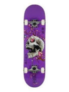 DGK Ancestry Complete Deck - 8.0 *Assorted Stain* - Switch Skate & Snow