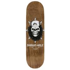 Birdhouse Hale Skull Deck - 8.63