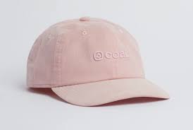 Coal Encore Hat - Rose